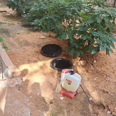 מיכל ריסוס לבן עם צינור על אדמה ליד צמחים