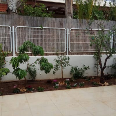 גינה עם עצים ושתילים לאורך גדר עץ