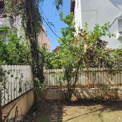 צינור השקיה ירוק על הקרקע ליד גדר עץ