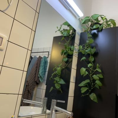 מראה גדולה עם ברז כסוף וכיור לבן