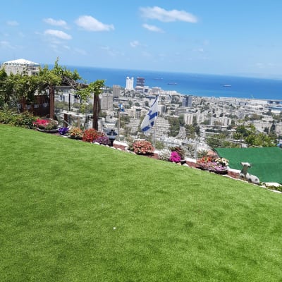 דשא ירוק עם ערוגות פרחים צבעוניות בשולי הגינה