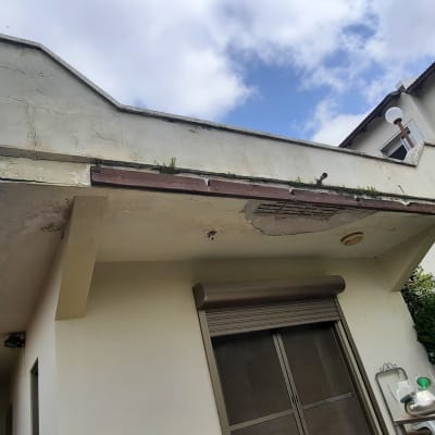 מרפסת עם קירות סדוקים וצמחייה על הגג