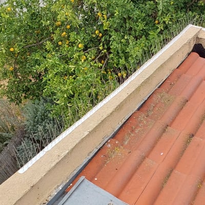 דוקרנים למניעת יונים על גג רעפים