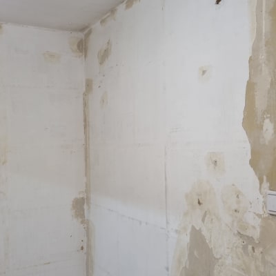 קיר עם גלגלת צביעה ומרקם טיח חשוף