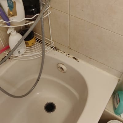 אמבטיה עם עובש סביב האיטום