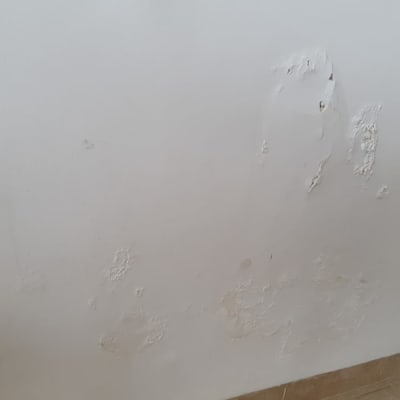 קיר עם קילופי צבע ופגמים