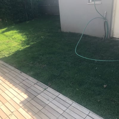 צינור מים על דשא ירוק ליד שביל עץ