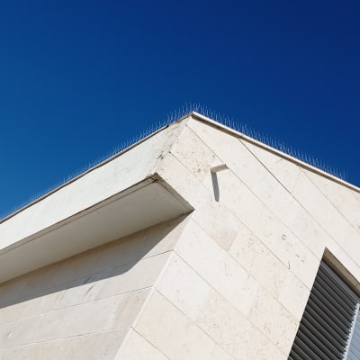 דוקרנים על גג למניעת יונים