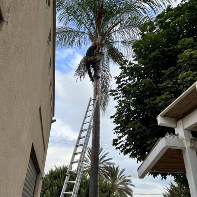 במהלך העבודה 