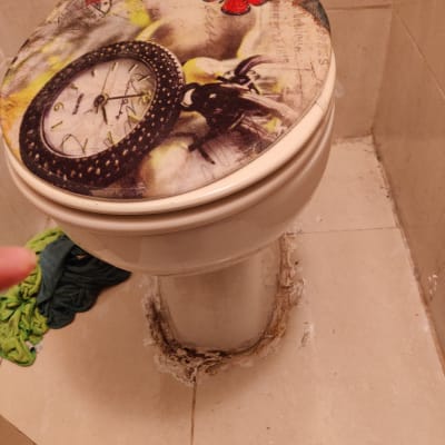 אסלה עם מכסה מעוצב, רטיבות סביב הבסיס