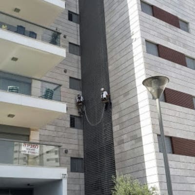 שני אנשים על חבלים מסירים יונים מקיר בניין