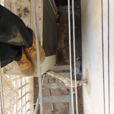 רשת למניעת יונים מותקנת על מרפסת