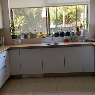 מטבח עם כיור, צמחים על אדן החלון