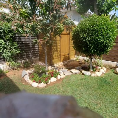 מחסן עץ בגינה עם שביל אבנים וצמחייה