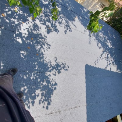 גג שטוח עם צללים של עלים ועץ