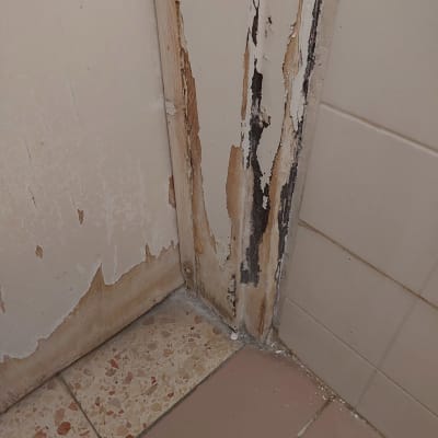 דלת עץ מתקלפת עם סימני ריקבון בפינה