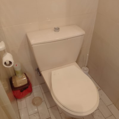 אסלה עם מברשת ניקוי ושירותים