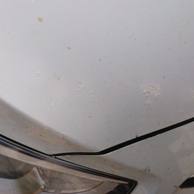 מכסה מנוע עם שריטות ופגמים בצבע