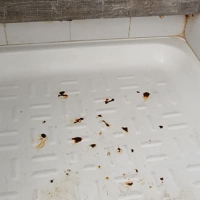 מגש מקלחת עם כתמי חלודה ופינות מלוכלכות