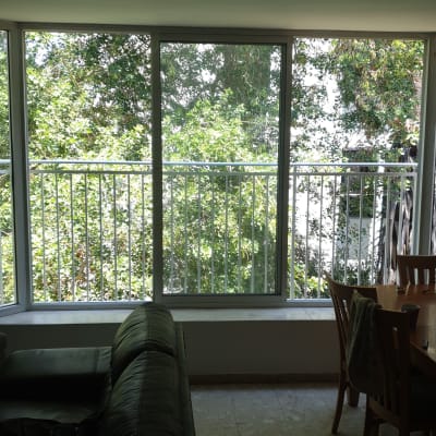 חלון גדול עם מסגרת מתכת ועצים ברקע