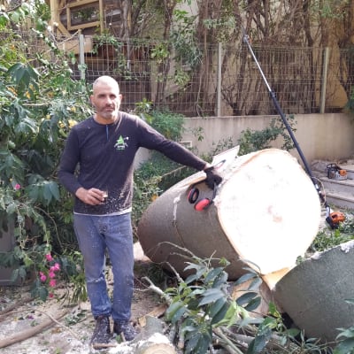 אדם ליד גזע עץ כרות עם מסור גיזום