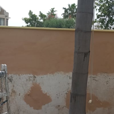 קיר צבוע חלקית עם סולם ועץ דקל