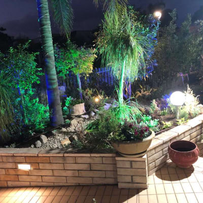 עציצים עם צמחים, תאורת גן, עצים ודשא