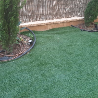 עצים קטנים עם מערכת השקיה על דשא סינתטי