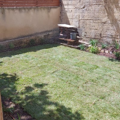 דשא ירוק, עציצים ושתילים בגינה קטנה