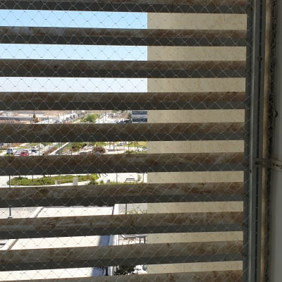 רשת מתכת על חלון למניעת כניסת יונים