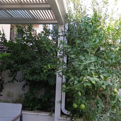 גג פרגולה עם קורות מתכת ולוחות שקופים