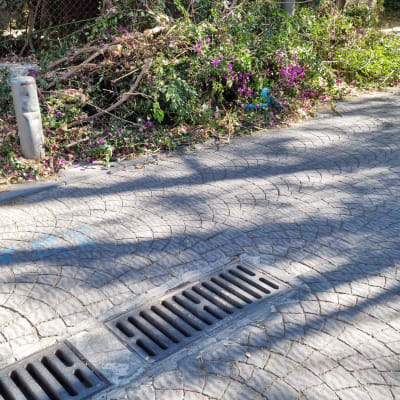 ערימת גזם עם ענפים ופרחים סגולים על המדרכה