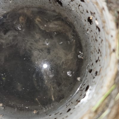 מים עומדים בצינור עם לכלוך