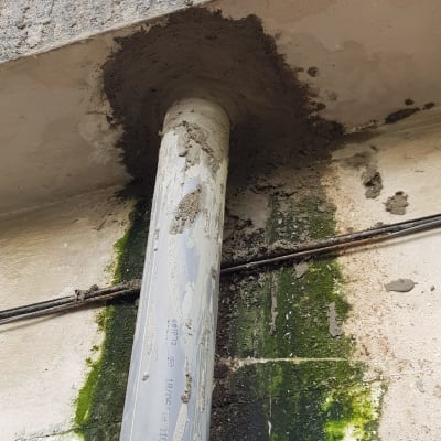 צינור פלסטיק מותקן בקיר עם טיח סביבו