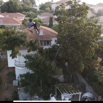 אדם גוזם עץ עם מסור חשמלי על גג בית