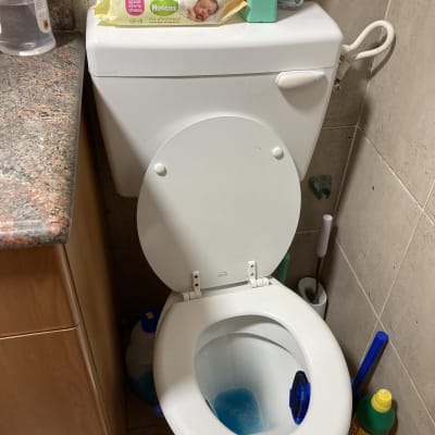 אסלה עם חומר ניקוי כחול ומברשת שירותים