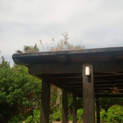 גג עץ עם קורות תומכות ומנורה תלויה