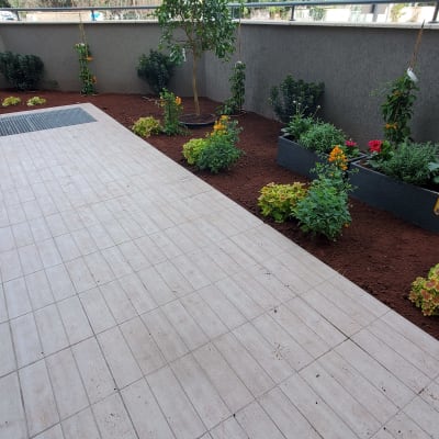 Thank you Asaf for giving me a beautiful garden to wake up to each morning!