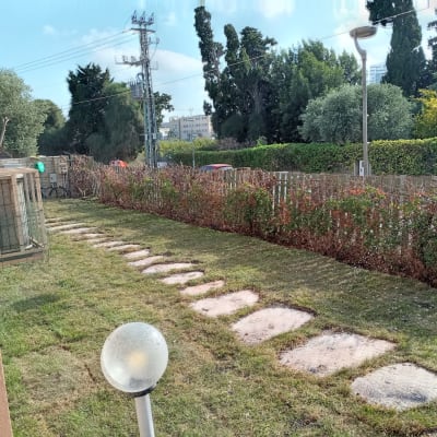 שביל אבנים בגינה עם דשא וגדר חיה