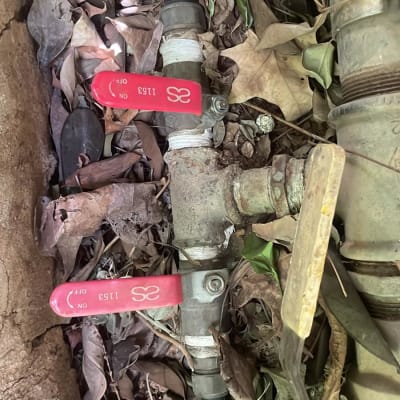 שני ברזים אדומים על צינור מים בין עלים יבשים