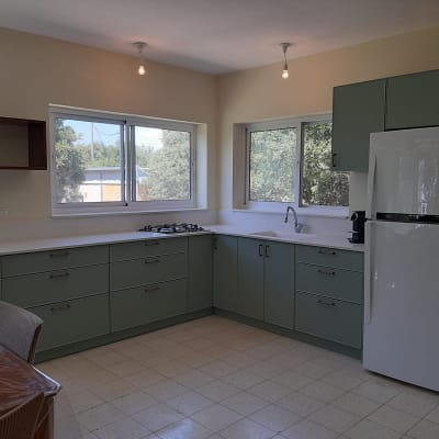 מטבח עם ארונות ירוקים, מקרר וכיריים גז