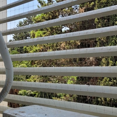 רשת למניעת כניסת יונים על חלון עם תריסים