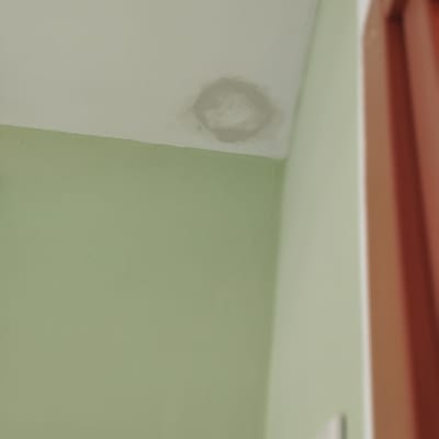 כתם רטיבות על תקרה צבועה ירוק