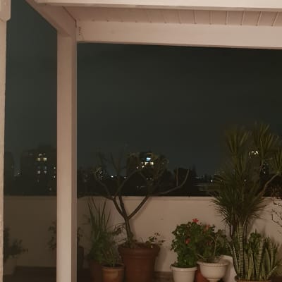 עציצים על רצפת עץ במרפסת בלילה