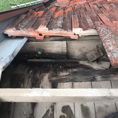 רעפים שבורים על גג עם עץ רקוב