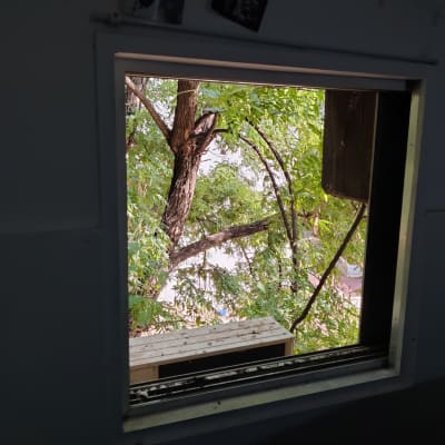 חלון פתוח עם עץ ירוק בחוץ