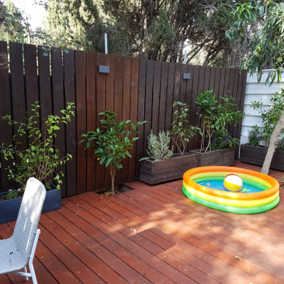 עציצים עם צמחים ירוקים על דק עץ