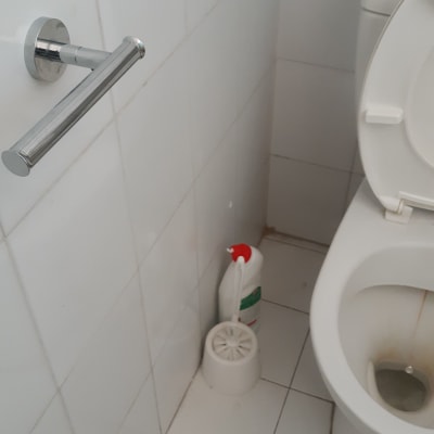 מברשת אסלה ובקבוק חומר ניקוי ליד אסלה