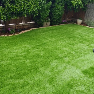 דשא ירוק עם עציצים ועצים מסביב