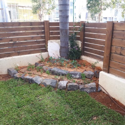 גינה קטנה עם צינור השקיה ועצים צעירים